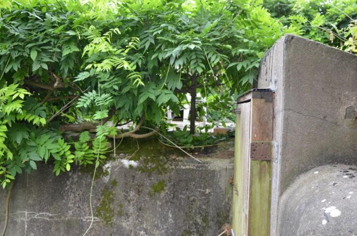 B&B 'T Withuis Diksmuide Bagian luar foto
