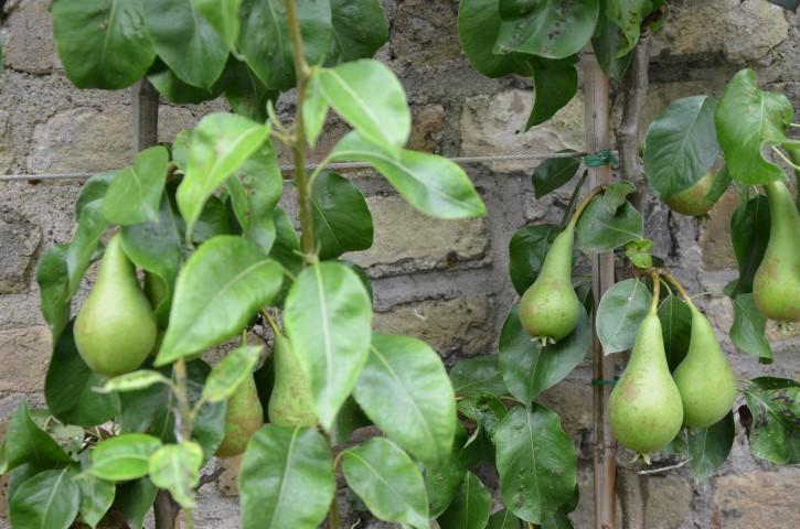 B&B 'T Withuis Diksmuide Bagian luar foto